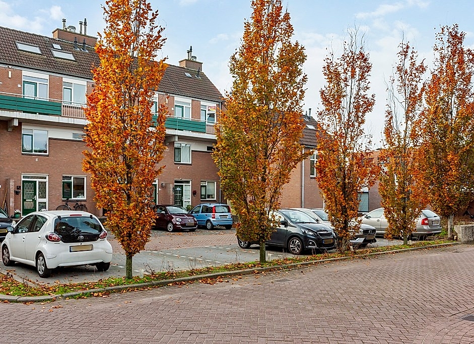 Foto Penningkruid 9 #1