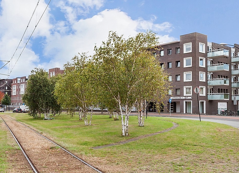 Foto Laan Van Wateringse Veld 1015 #1