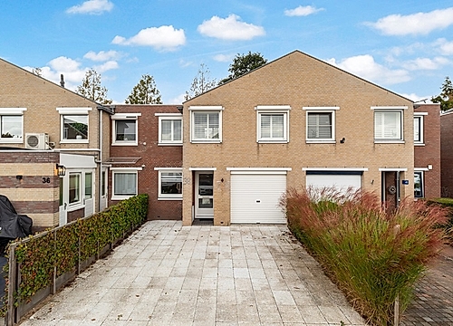 Foto De Wervel 38 #5