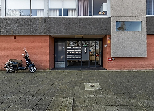 Foto P.J. Oudstraat 220 #5
