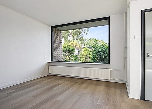 Foto Bruine Berk 19 #5
