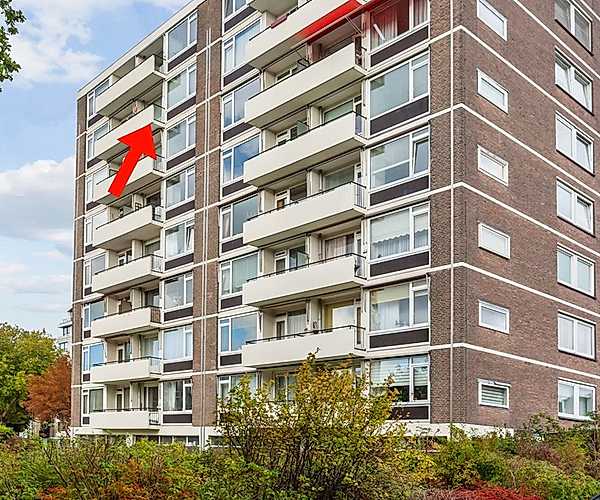 Afbeelding Burgemeester Elsenlaan 293