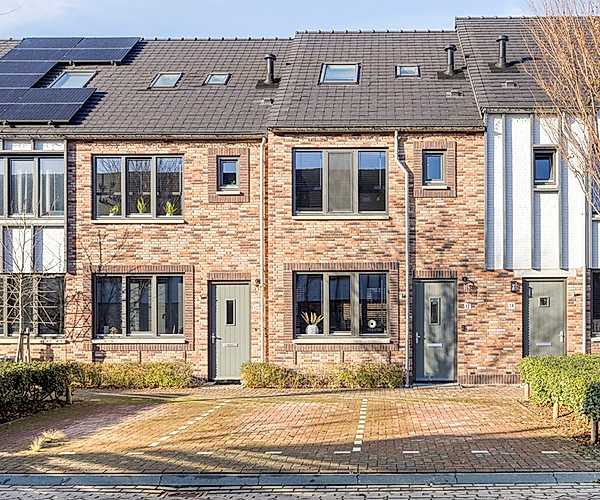 Afbeelding Meerval 12