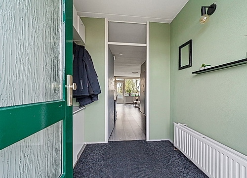 Foto Penningkruid 9 #5