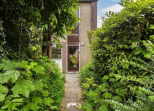 Foto Domela Nieuwenhuisstraat 14 #2