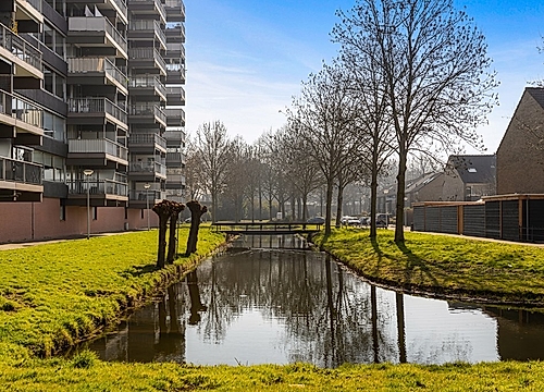 Foto P.J. Oudstraat 220 #2