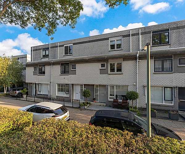 Afbeelding Colorado 104