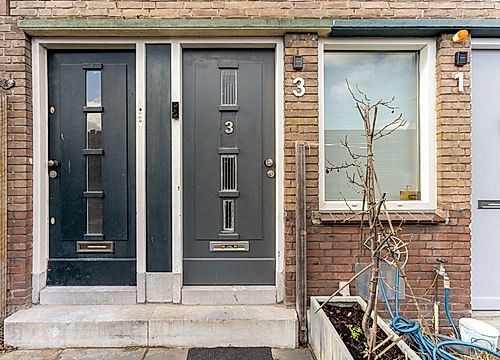 Foto David Blesstraat 3 #5