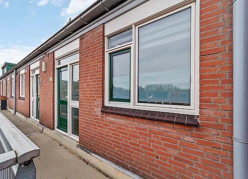 Foto Penningkruid 9 #3