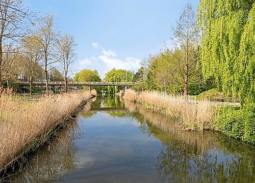 Foto Pieter Van Damstraat 58 #4
