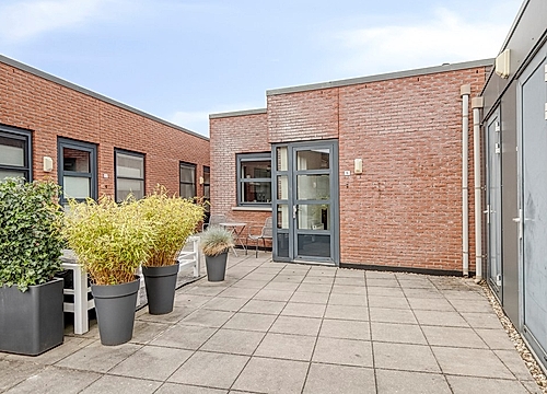Foto Zandoogje 16 #2