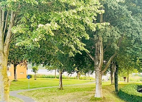 Foto Fellinilaan 75 #2