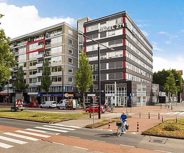 Afbeelding Johan de Wittstraat 266