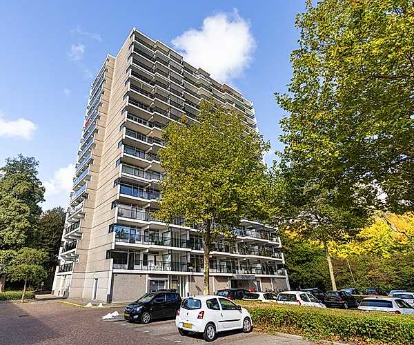 Afbeelding Octant 199